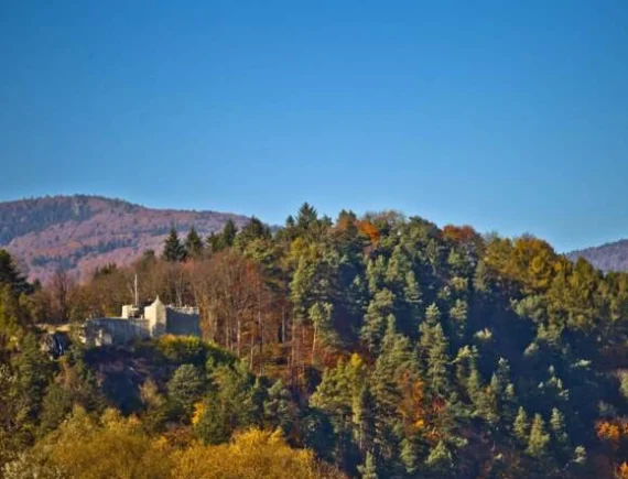 Czarna Młaka — niesamowite jeziorko