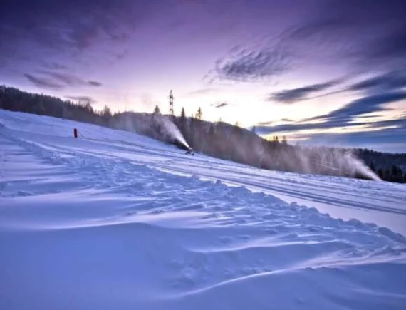 Jak nauczyć dziecko jeździć na nartach?