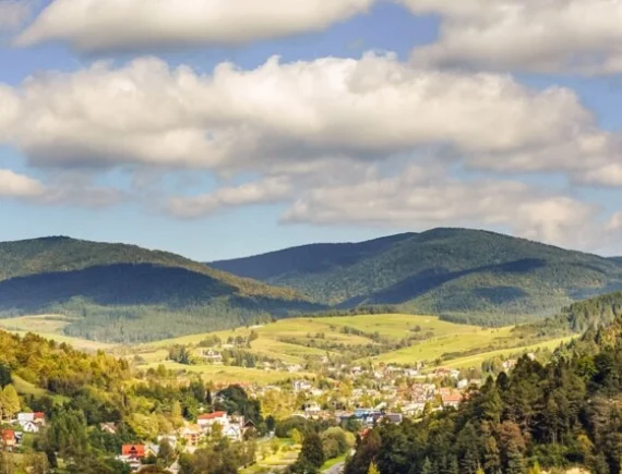 Ruiny Zamku „Baszta”