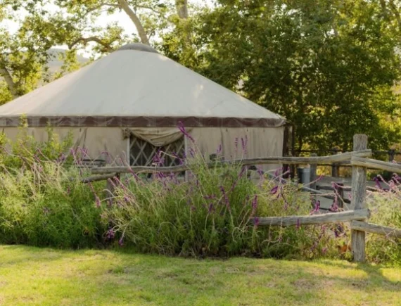 Jurta — ekologiczne podejście do campingów