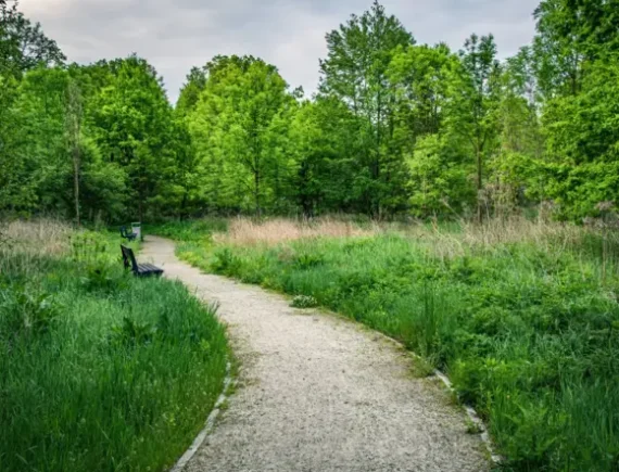 Łopata Polska – ścieżka ornitologiczna