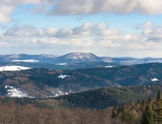 Noclegi w Krynicy-Zdroju
