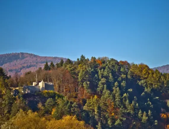 Opowiadania i Legendy muszyńskie