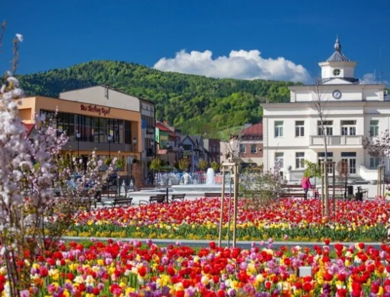 Rynek i zabytkowa zabudowa